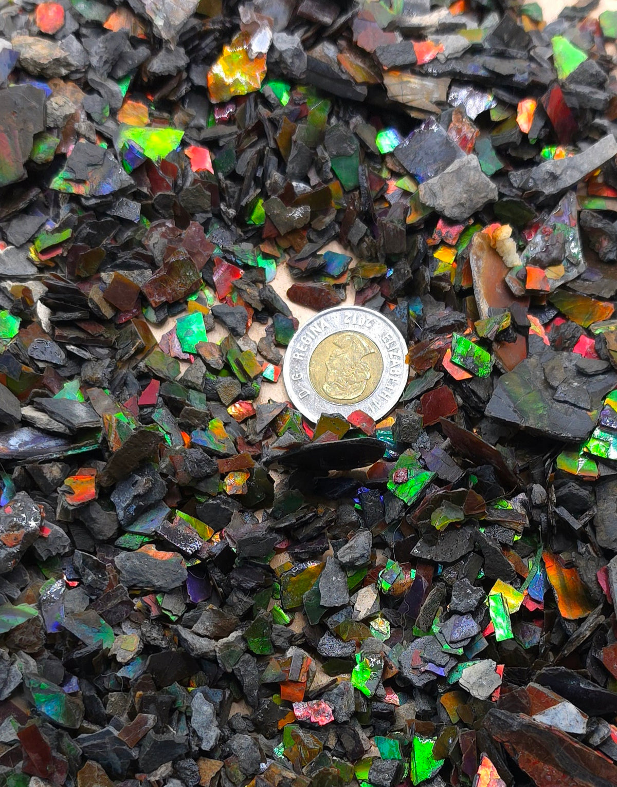 Ammolite Small Flakes - 41g