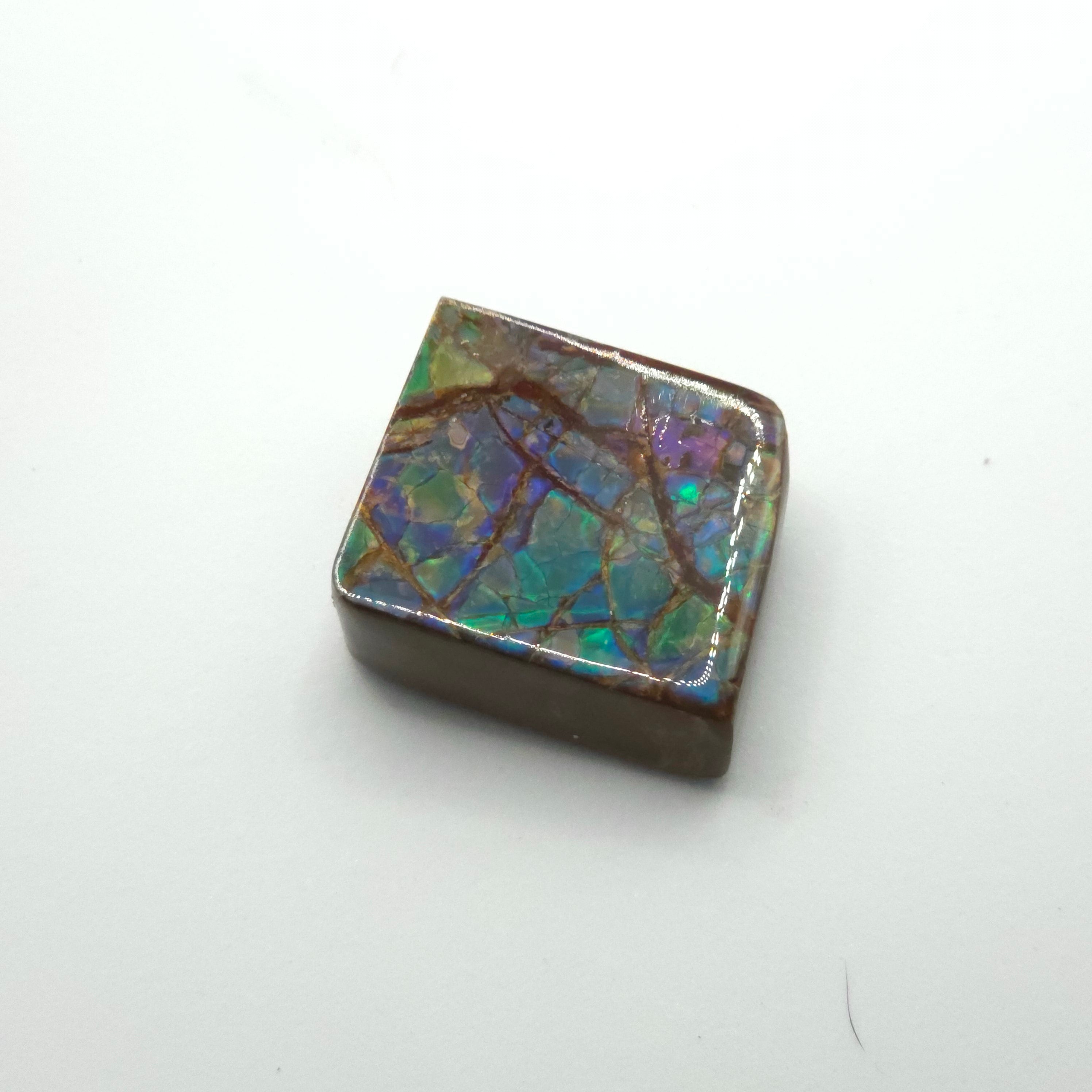 Freeform  Ammolite Gemstone