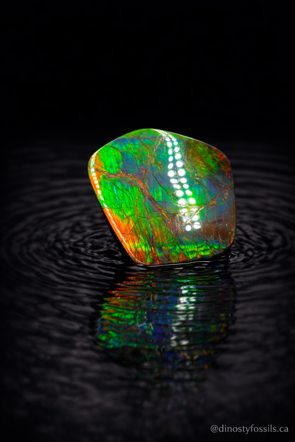 NATURAL AMMOLITE FREEFORM