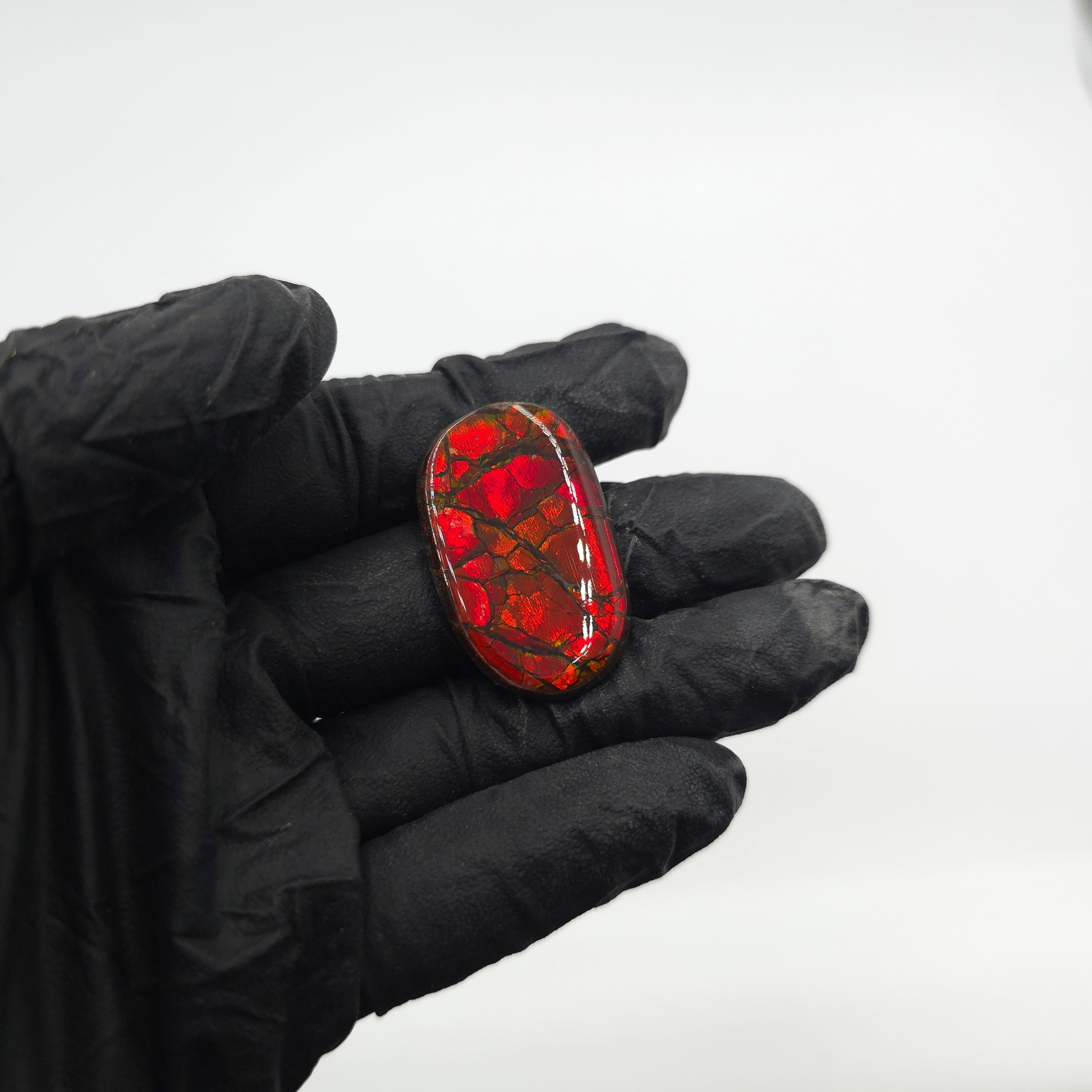 COATED AMMOLITE FREEFORM