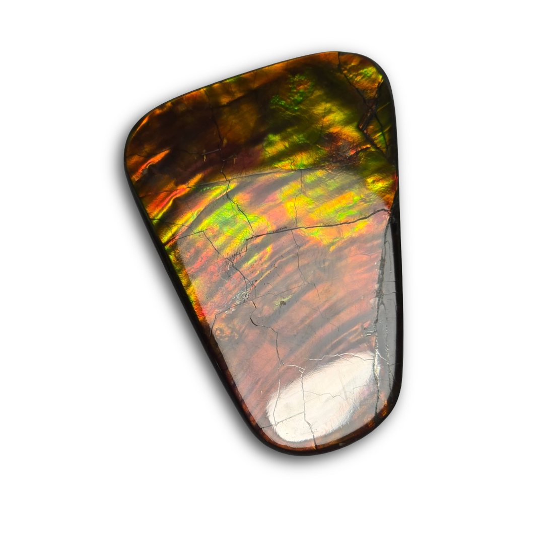 NATURAL AMMOLITE FREEFORM