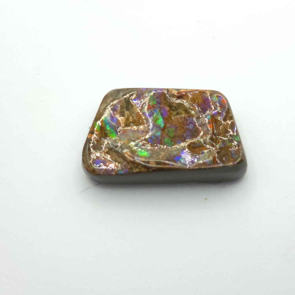 Freeform  Ammolite Gemstone