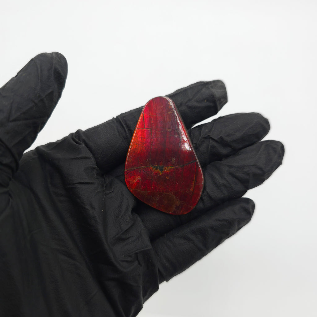 NATURAL IMPERIAL AMMOLITE FREEFORM