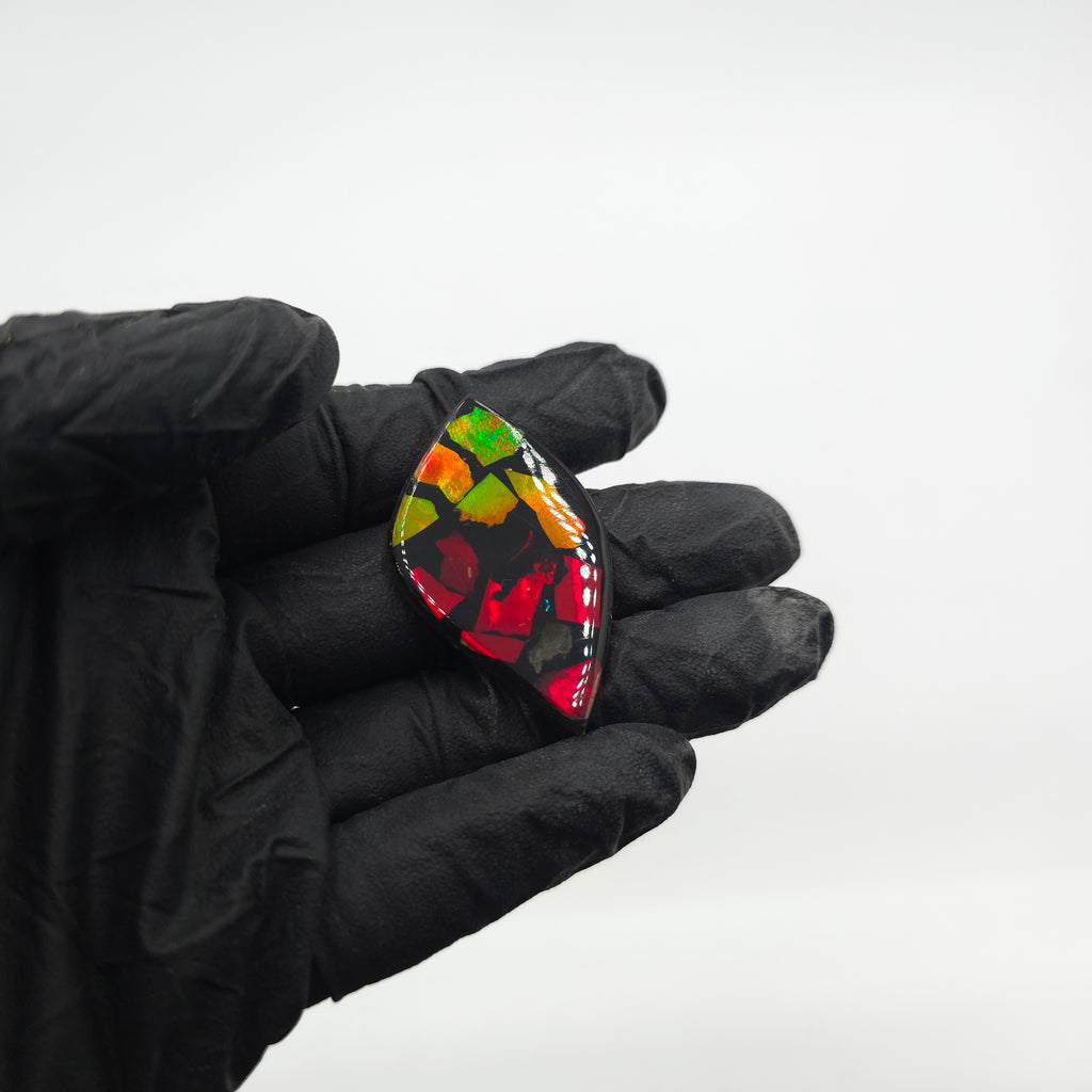 COATED AMMOLITE MOSIAC