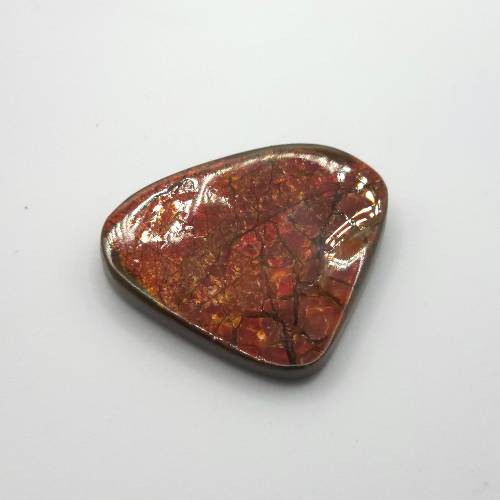 Freeform  Ammolite Gemstone