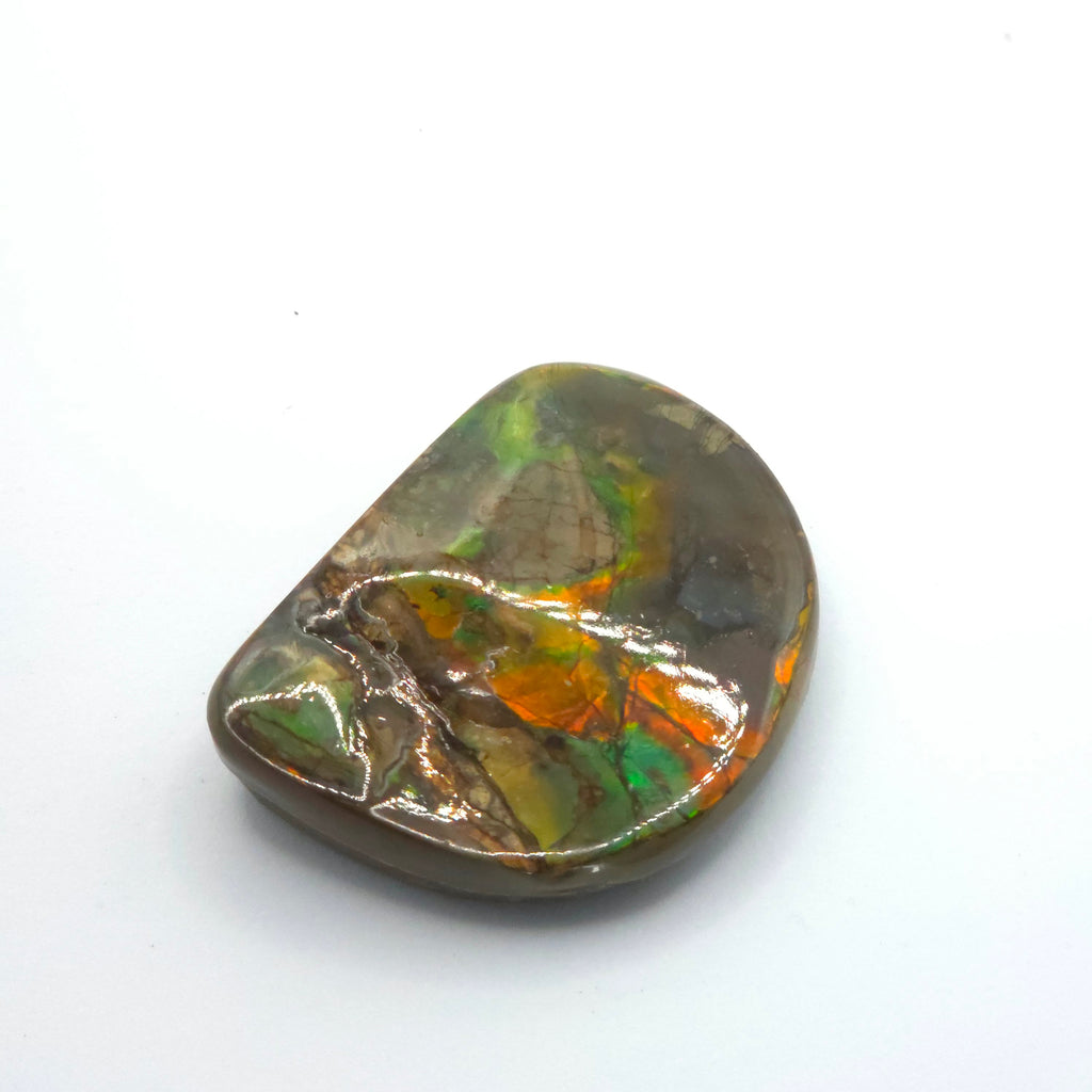 Freeform  Ammolite Gemstone