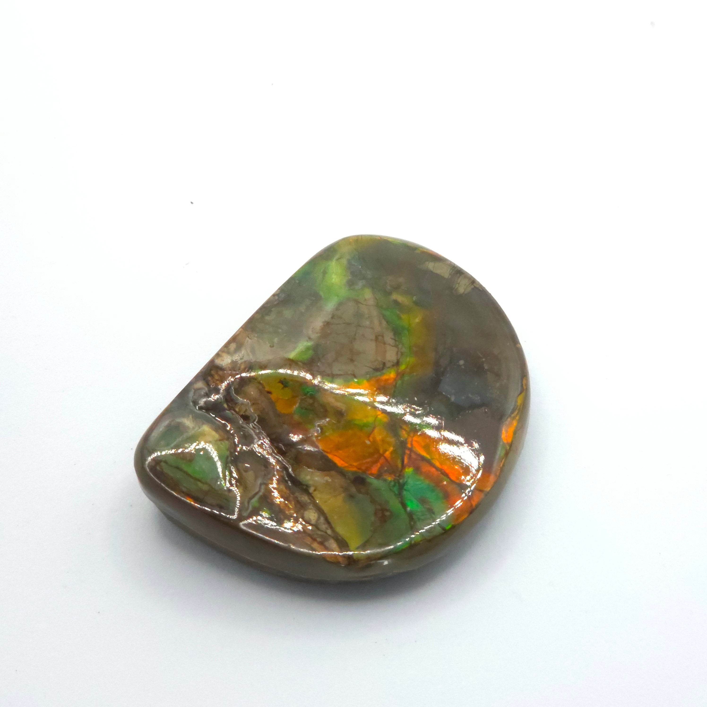 Freeform  Ammolite Gemstone