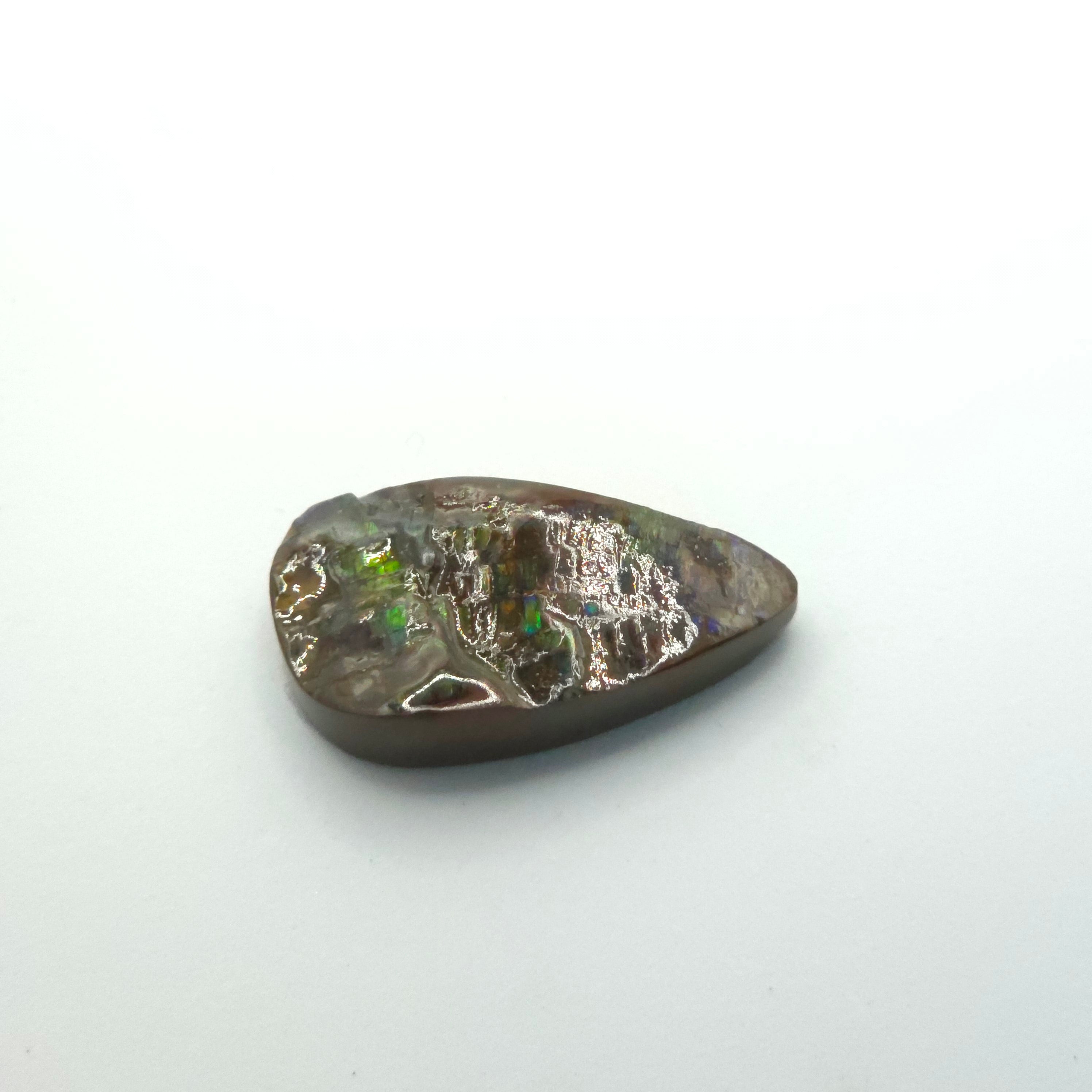 Freeform  Ammolite Gemstone
