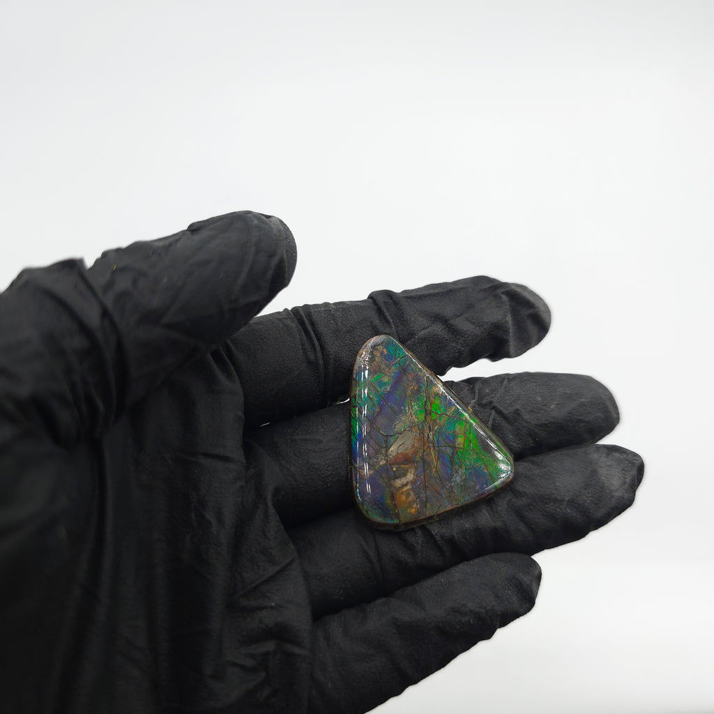 COATED AMMOLITE FREEFORM