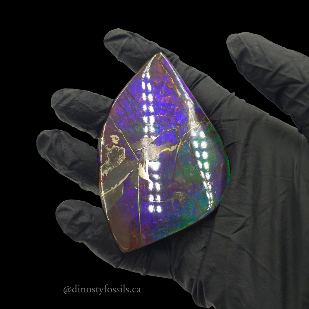 NATURAL AMMOLITE FREEFORM