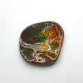 Freeform  Ammolite Gemstone
