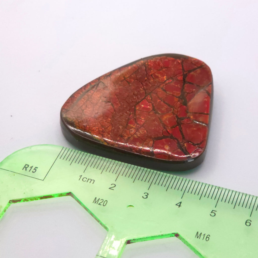 Freeform  Ammolite Gemstone